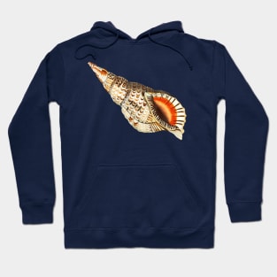 Shell Hand Drawn Hoodie